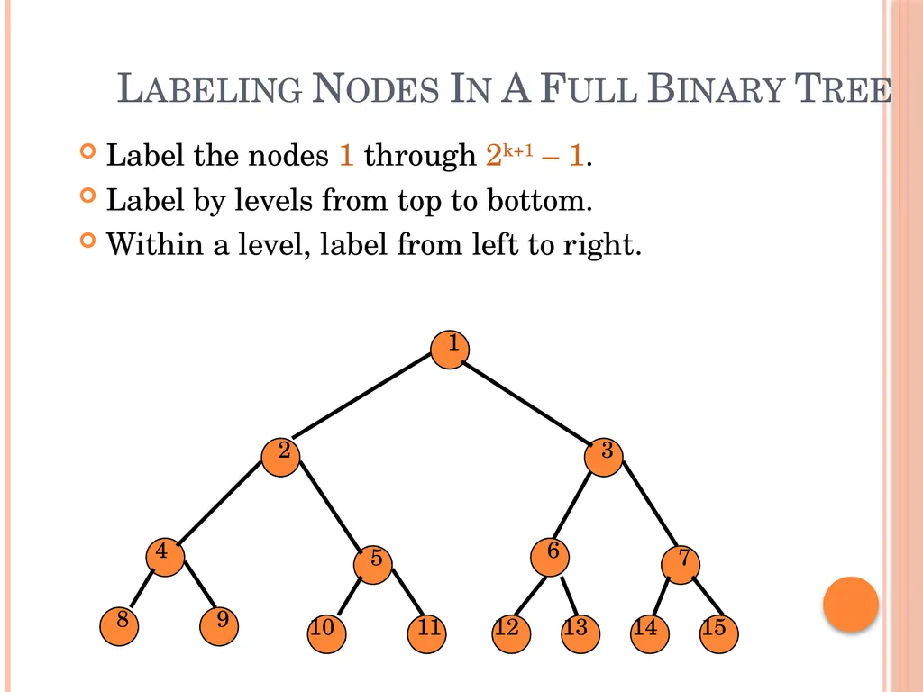 Trees and Binary Trees Become Rich Force Others to - slide 24 of 55
