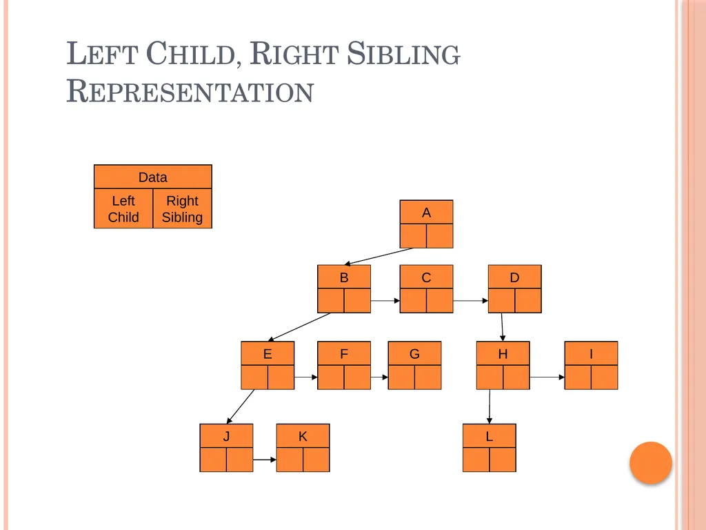 Trees and Binary Trees Become Rich Force Others to - slide 11 of 55
