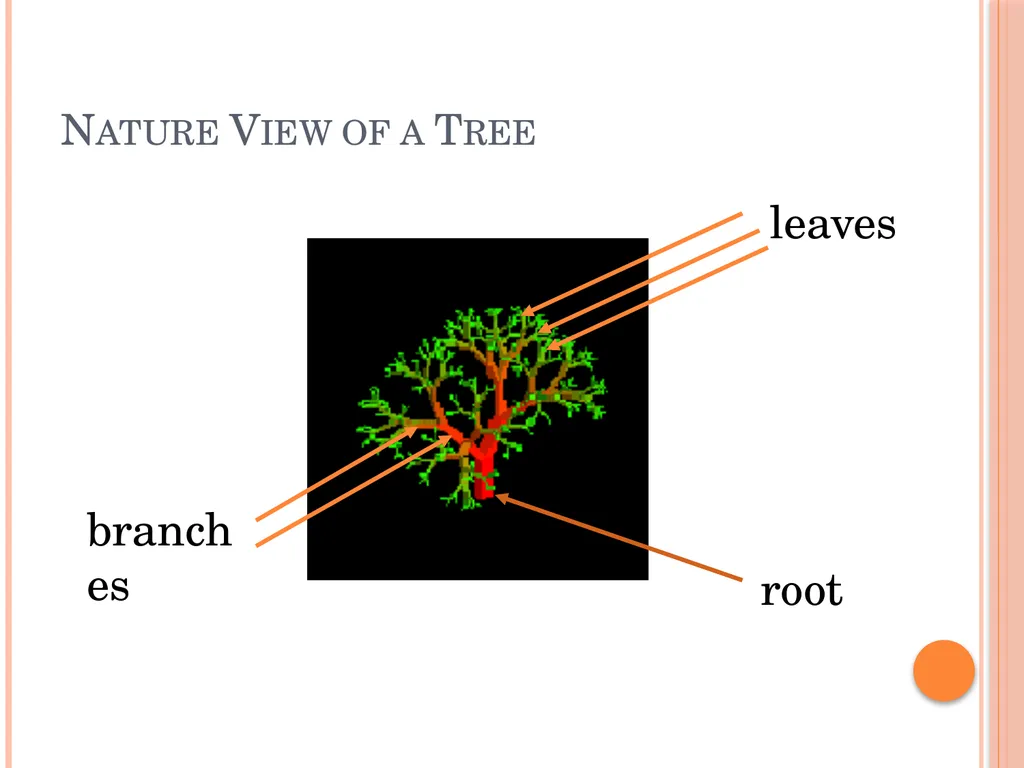 Trees and Binary Trees Become Rich Force Others to - slide 2 of 55