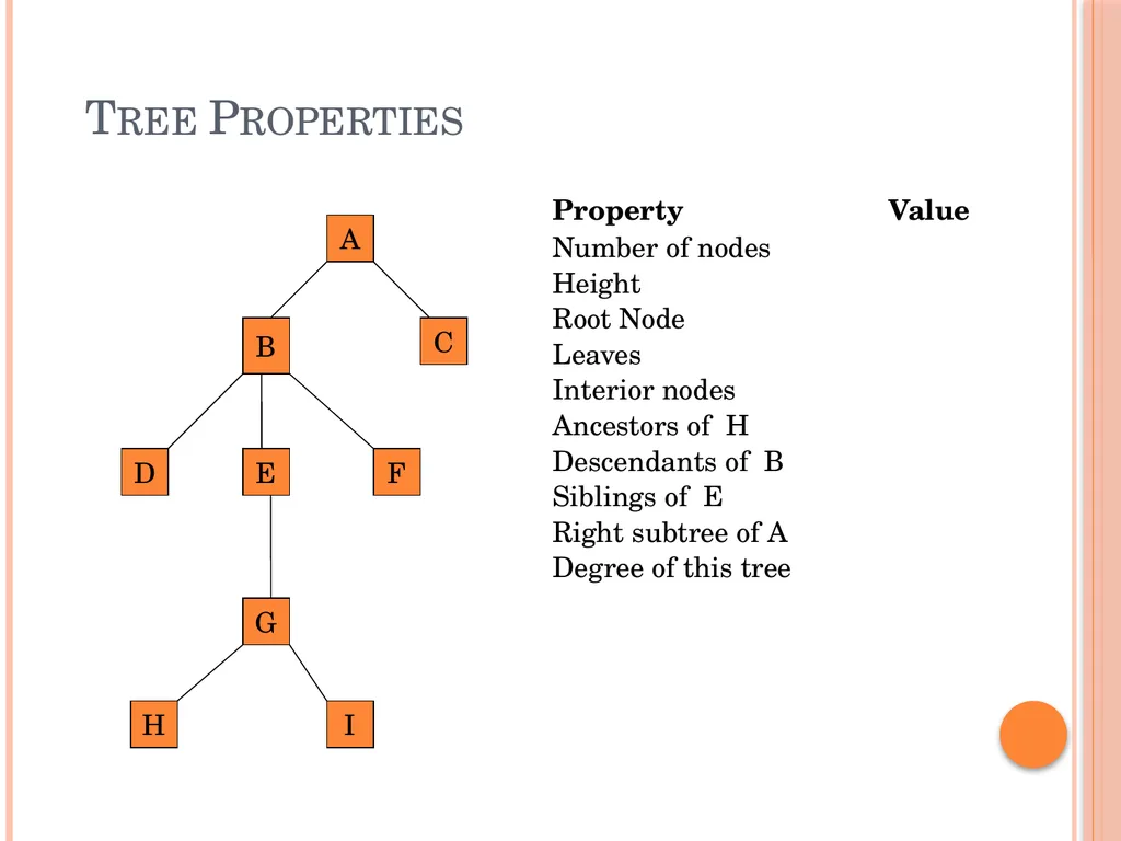 Trees and Binary Trees Become Rich Force Others to - slide 6 of 55