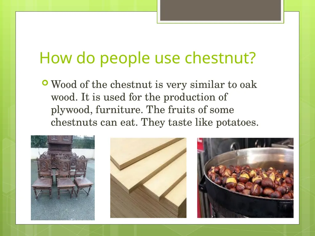 Chestnuts Olga Yakovenko Troyeshchyna Gymnasium - slide 9 of 14