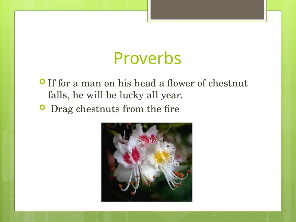 Chestnuts Olga Yakovenko Troyeshchyna Gymnasium - slide 11 of 14