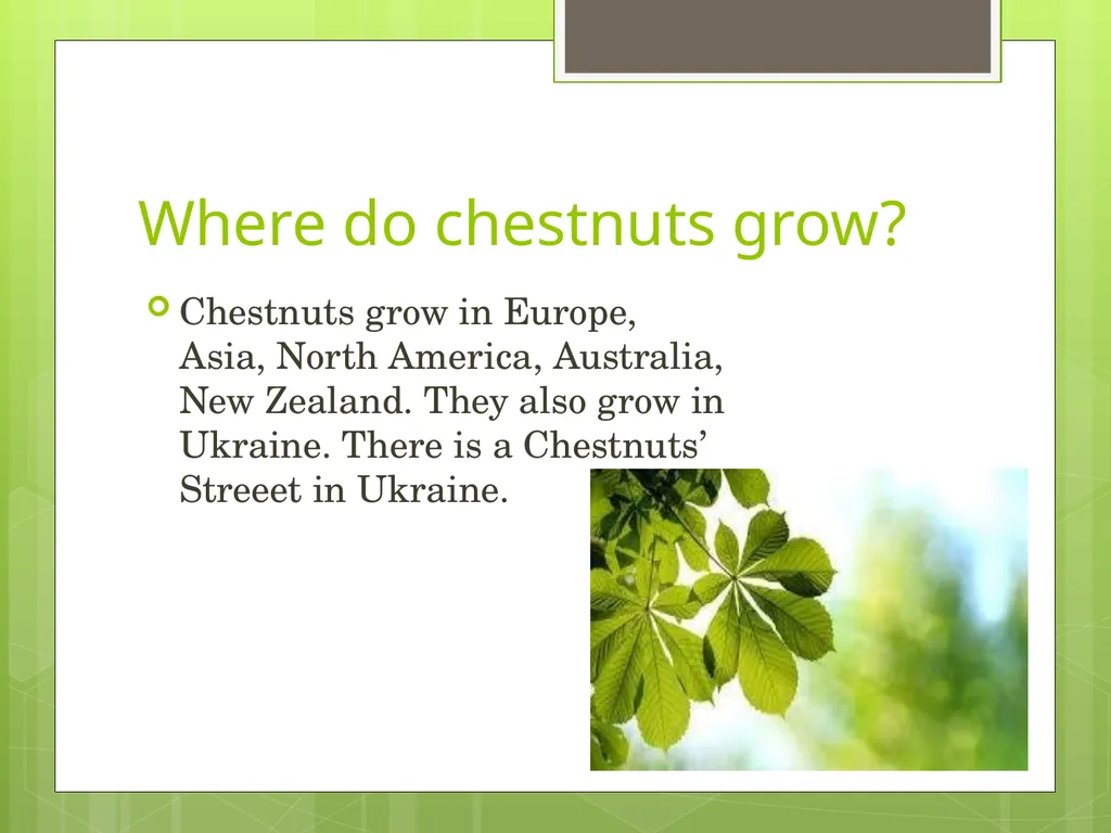 Chestnuts Olga Yakovenko Troyeshchyna Gymnasium - slide 3 of 14