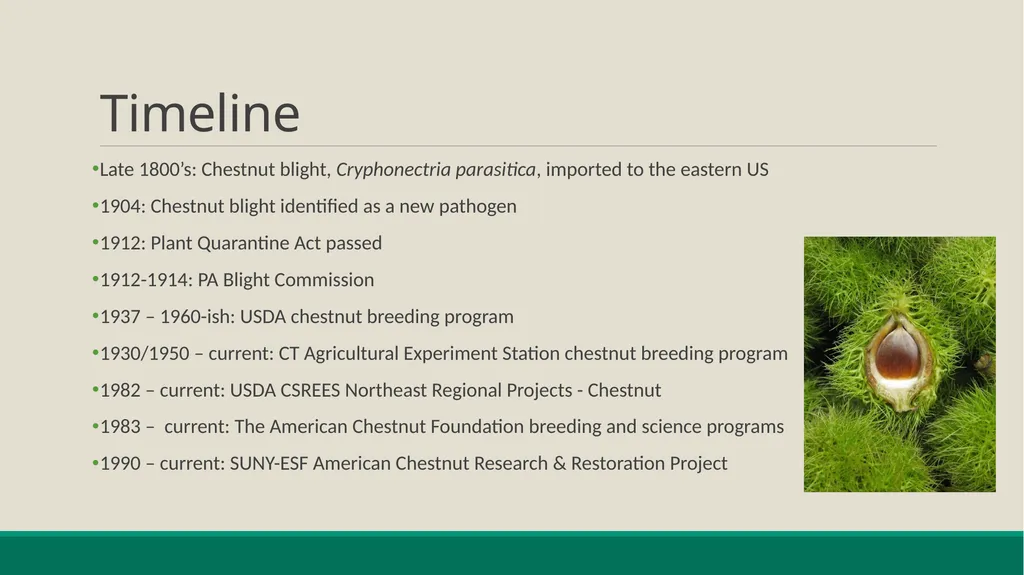 American Chestnut: Communicating and Tracking - slide 3 of 10