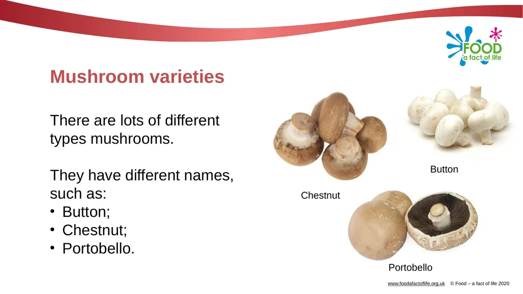 Mushrooms What are these? These are mushrooms. - slide 5 of 10