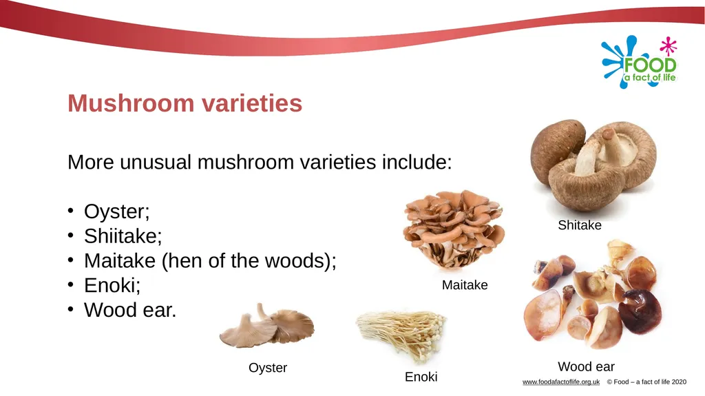 Mushrooms What are these? These are mushrooms. - slide 6 of 10