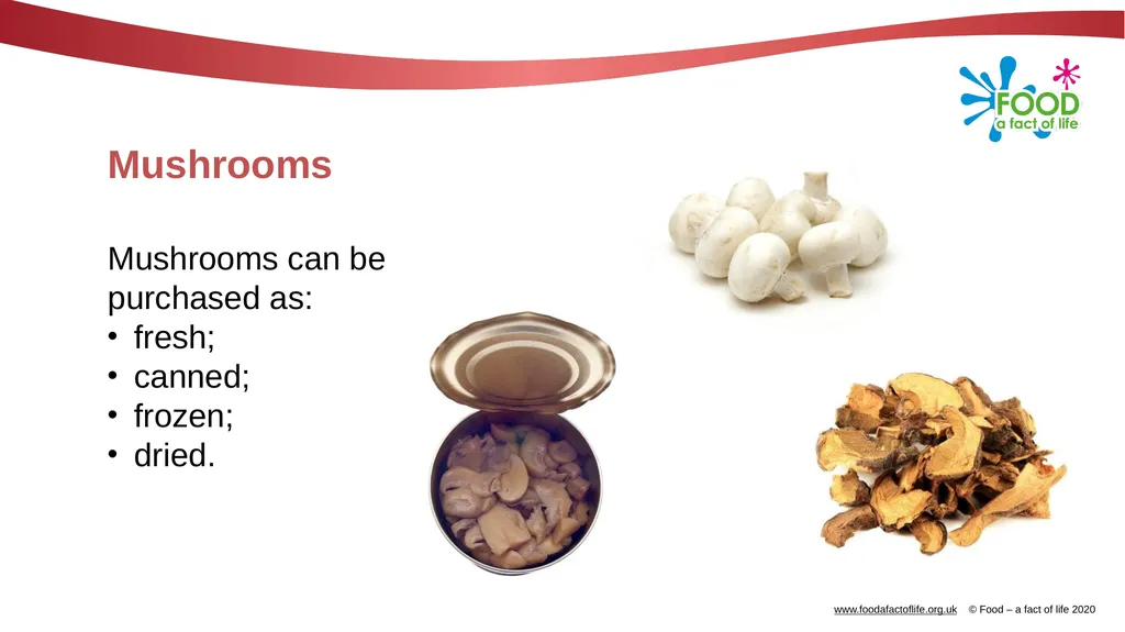 Mushrooms What are these? These are mushrooms. - slide 7 of 10