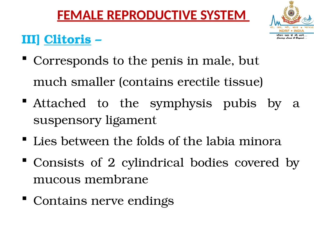 Lesson-8 REPRODUCTIVE STSTEM BY JITENDER YADAV - slide 7 of 24