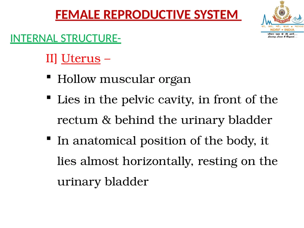 Lesson-8 REPRODUCTIVE STSTEM BY JITENDER YADAV - slide 10 of 24