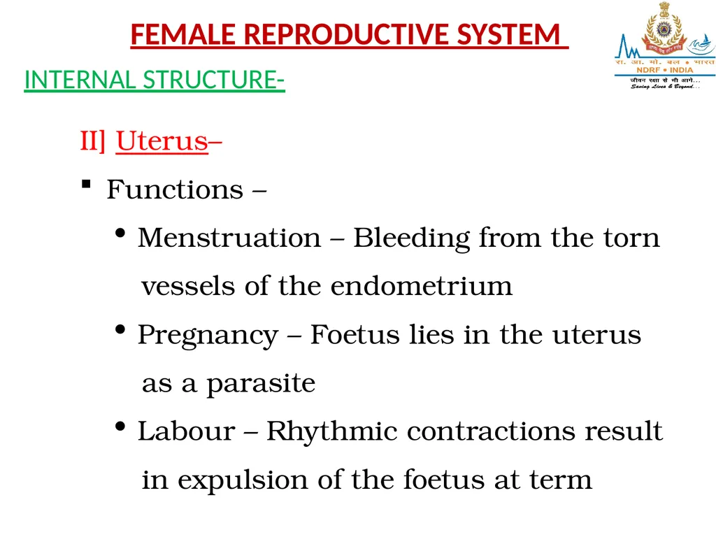 Lesson-8 REPRODUCTIVE STSTEM BY JITENDER YADAV - slide 12 of 24