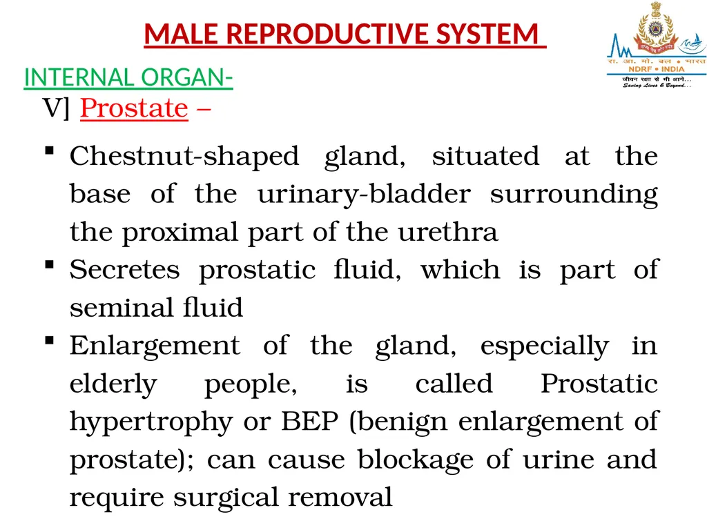 Lesson-8 REPRODUCTIVE STSTEM BY JITENDER YADAV - slide 22 of 24