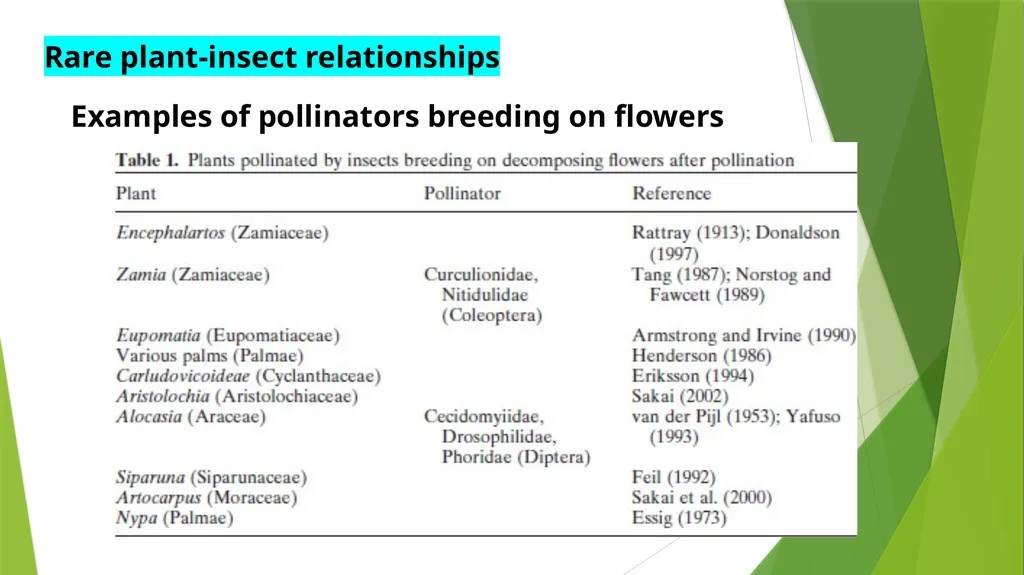 PLPT 609 Title: Inter-Relationships Between - slide 16 of 20