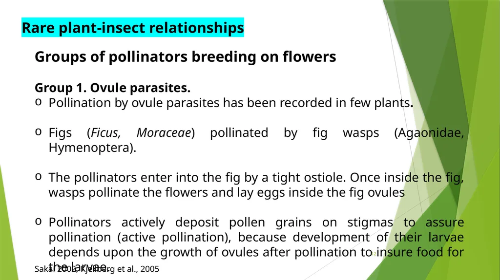 PLPT 609 Title: Inter-Relationships Between - slide 12 of 20