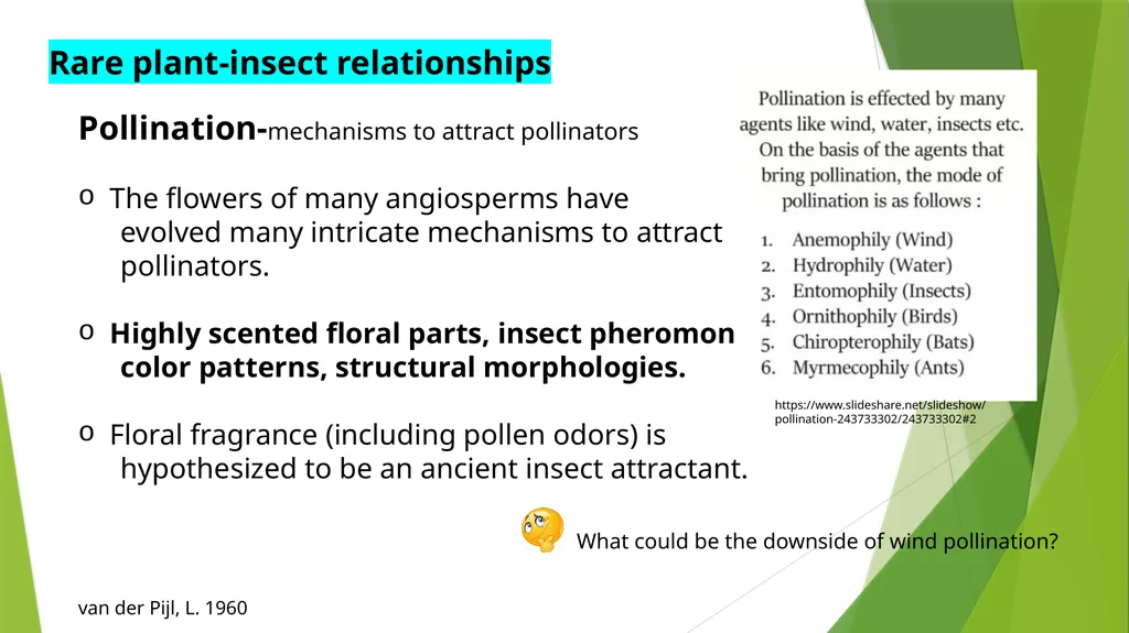 PLPT 609 Title: Inter-Relationships Between - slide 11 of 20