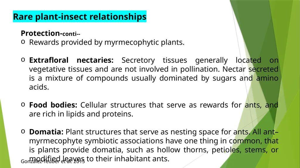 PLPT 609 Title: Inter-Relationships Between - slide 9 of 20
