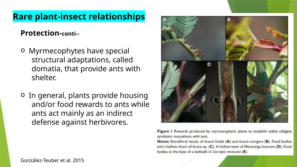 PLPT 609 Title: Inter-Relationships Between - slide 8 of 20