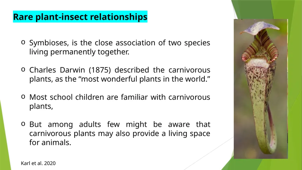 PLPT 609 Title: Inter-Relationships Between - slide 4 of 20
