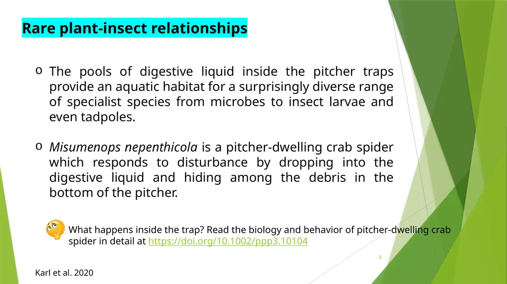 PLPT 609 Title: Inter-Relationships Between - slide 5 of 20