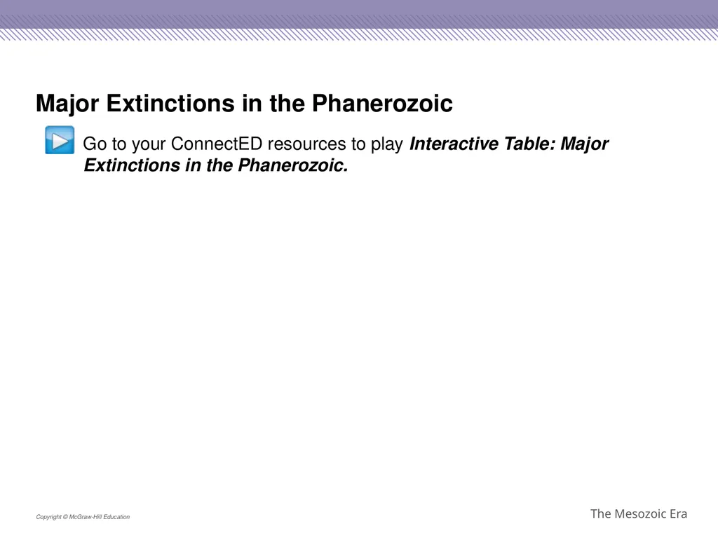 Reptiles became the dominant terrestrial animals - slide 28 of 29