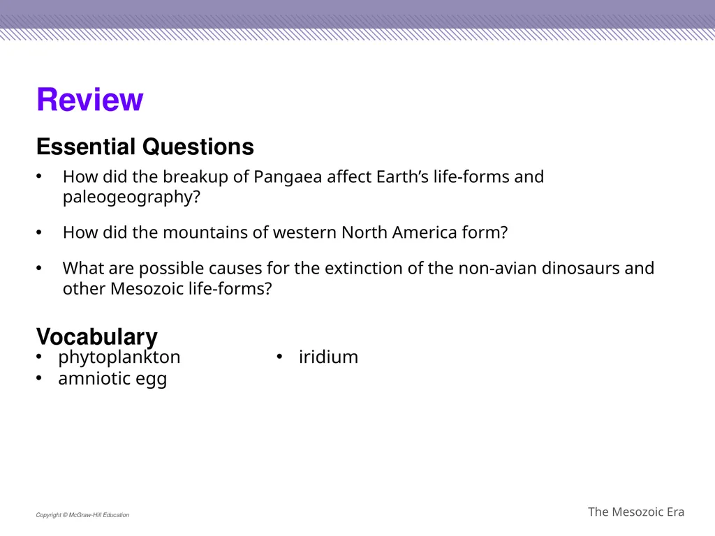Reptiles became the dominant terrestrial animals - slide 29 of 29