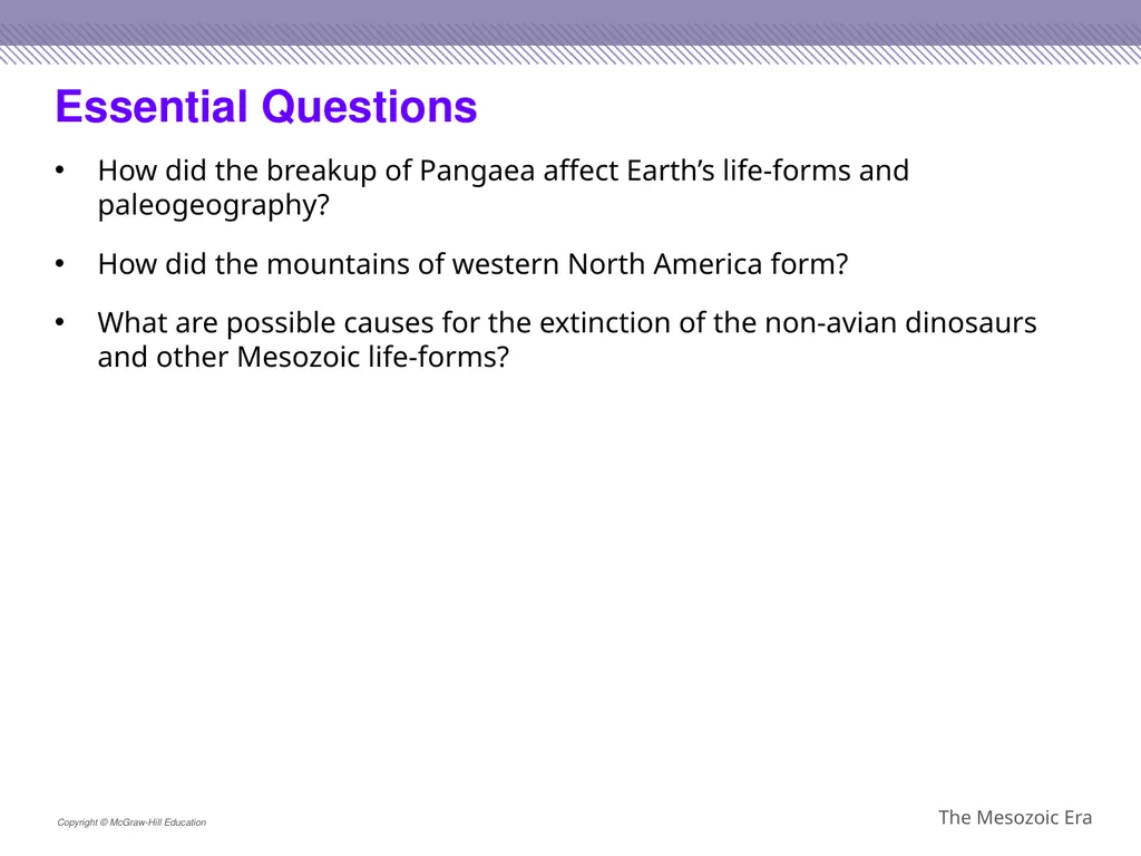Reptiles became the dominant terrestrial animals - slide 2 of 29