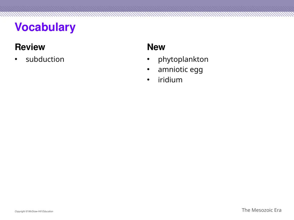 Reptiles became the dominant terrestrial animals - slide 3 of 29
