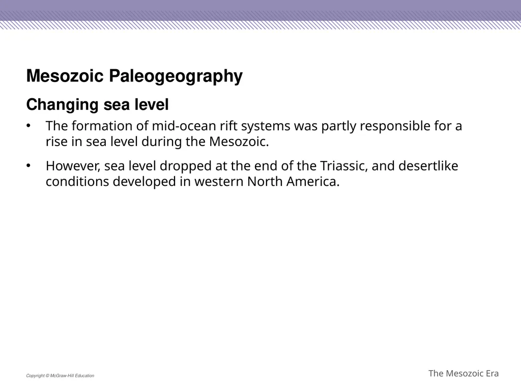 Reptiles became the dominant terrestrial animals - slide 10 of 29