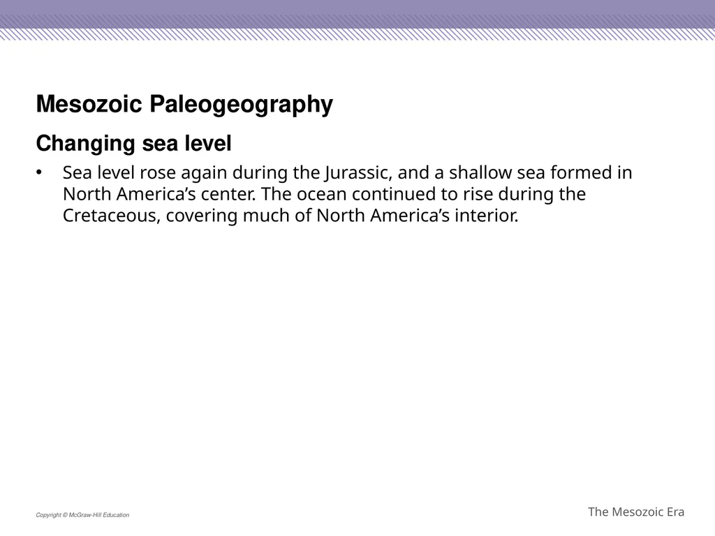 Reptiles became the dominant terrestrial animals - slide 11 of 29