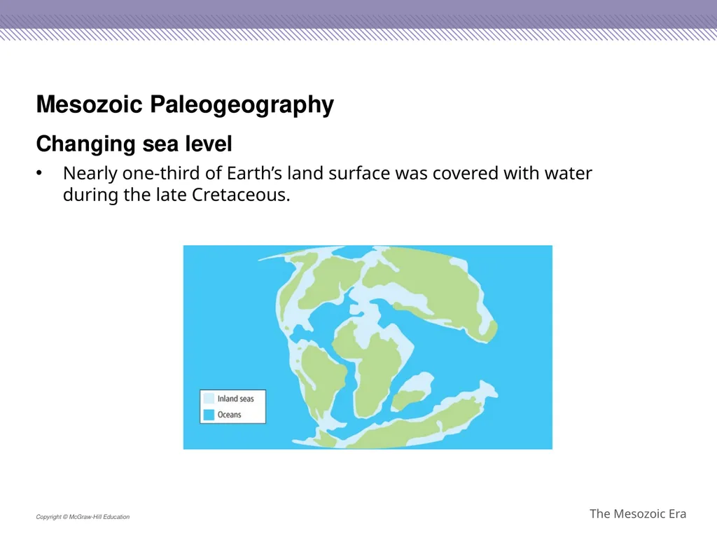 Reptiles became the dominant terrestrial animals - slide 12 of 29