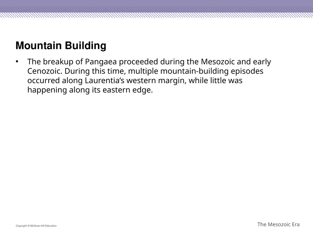 Reptiles became the dominant terrestrial animals - slide 13 of 29