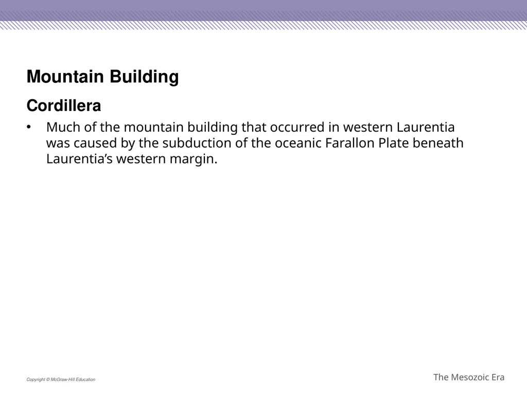 Reptiles became the dominant terrestrial animals - slide 14 of 29