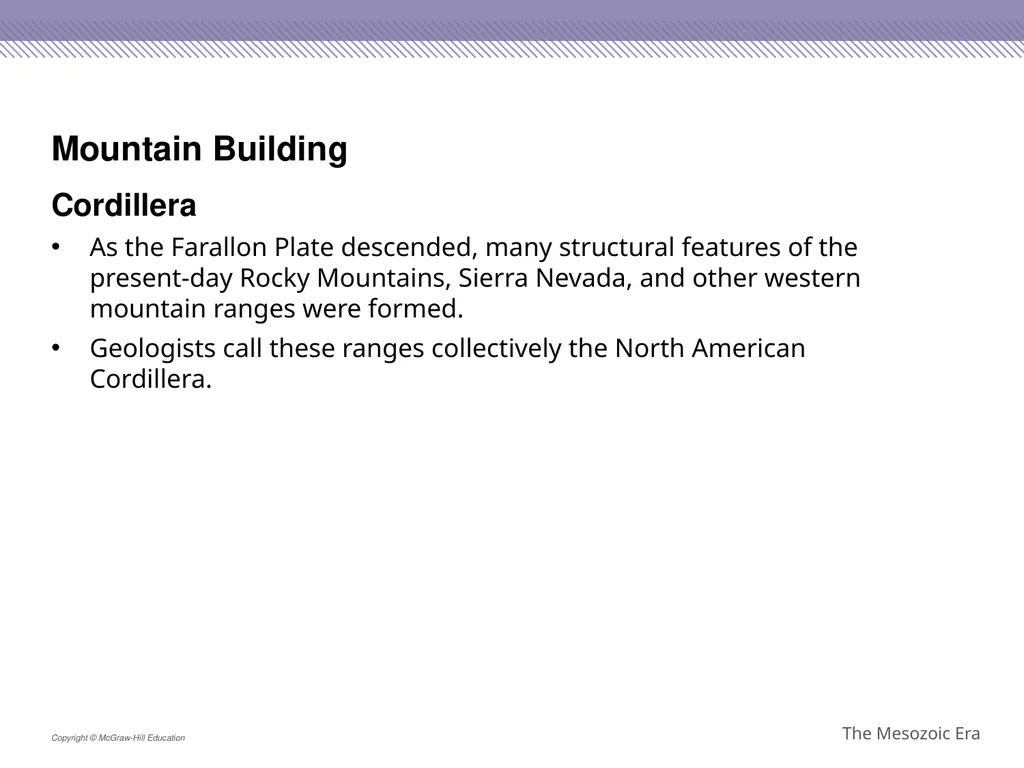 Reptiles became the dominant terrestrial animals - slide 15 of 29