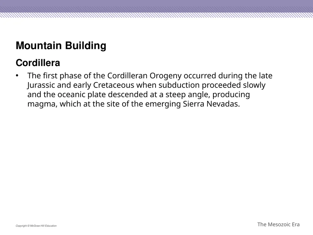 Reptiles became the dominant terrestrial animals - slide 16 of 29