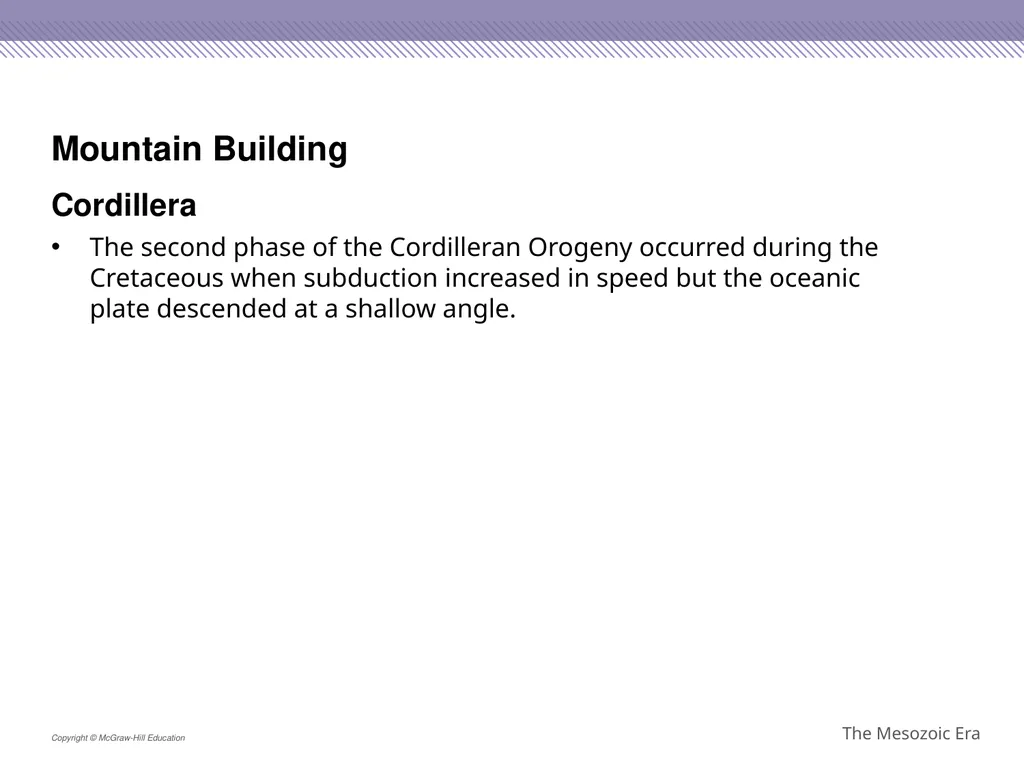 Reptiles became the dominant terrestrial animals - slide 17 of 29