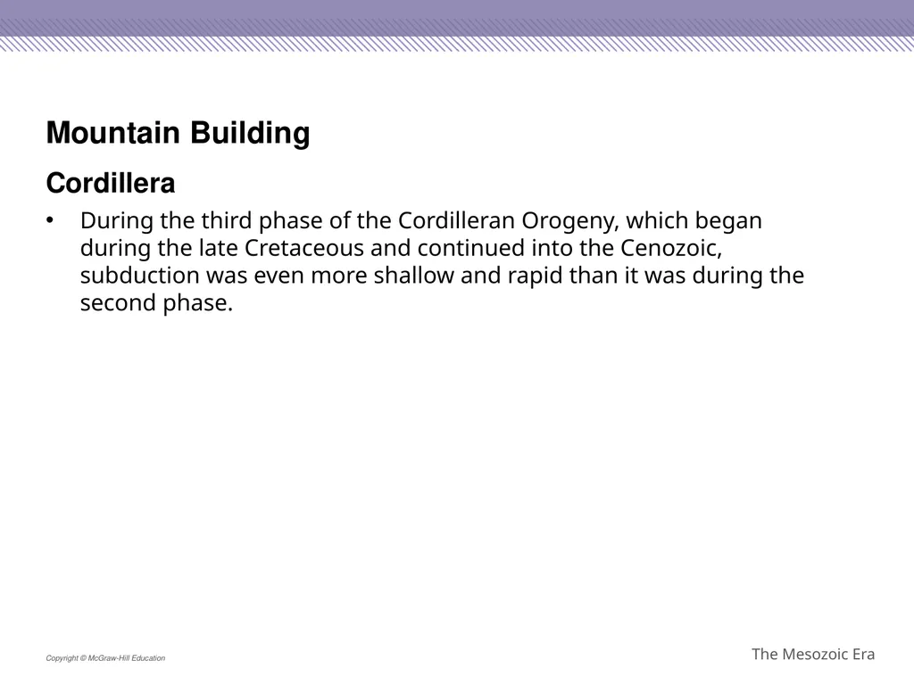 Reptiles became the dominant terrestrial animals - slide 18 of 29