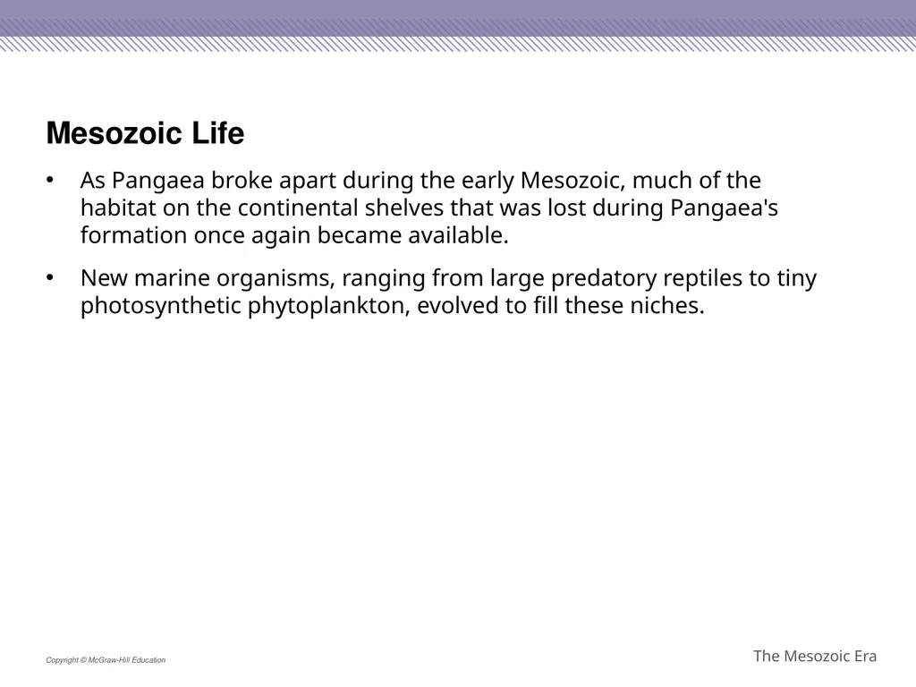 Reptiles became the dominant terrestrial animals - slide 20 of 29