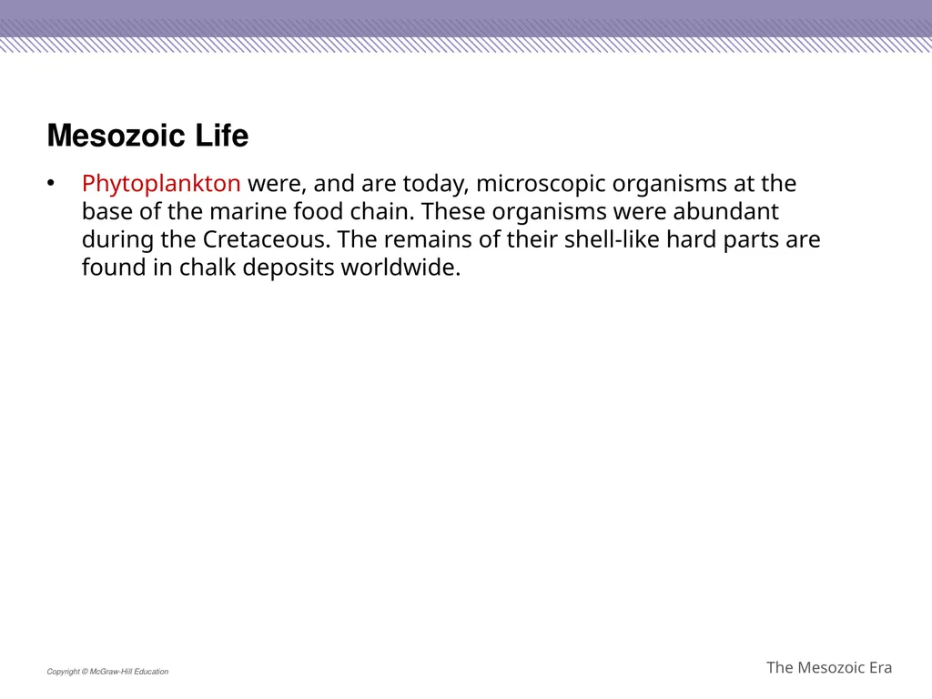 Reptiles became the dominant terrestrial animals - slide 21 of 29