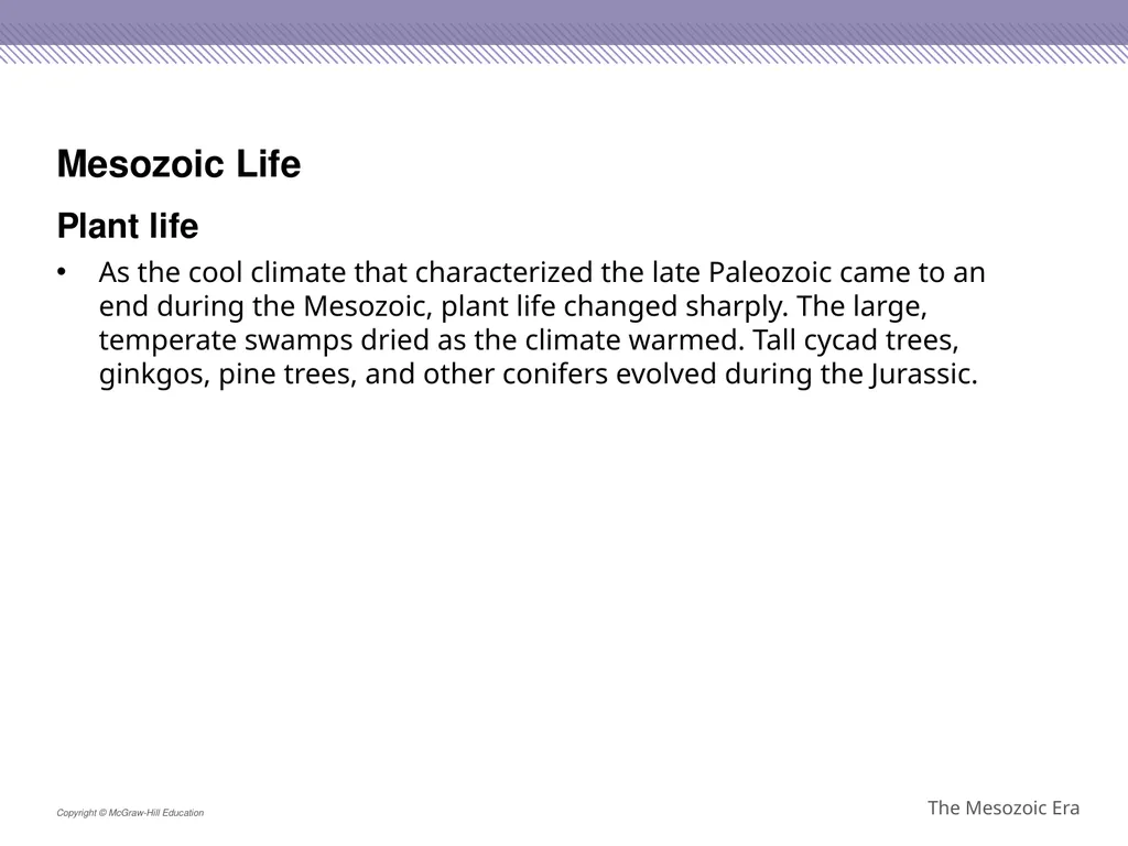 Reptiles became the dominant terrestrial animals - slide 22 of 29