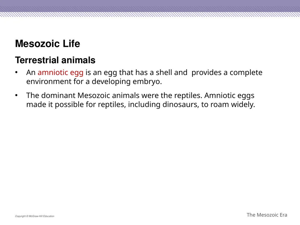 Reptiles became the dominant terrestrial animals - slide 23 of 29