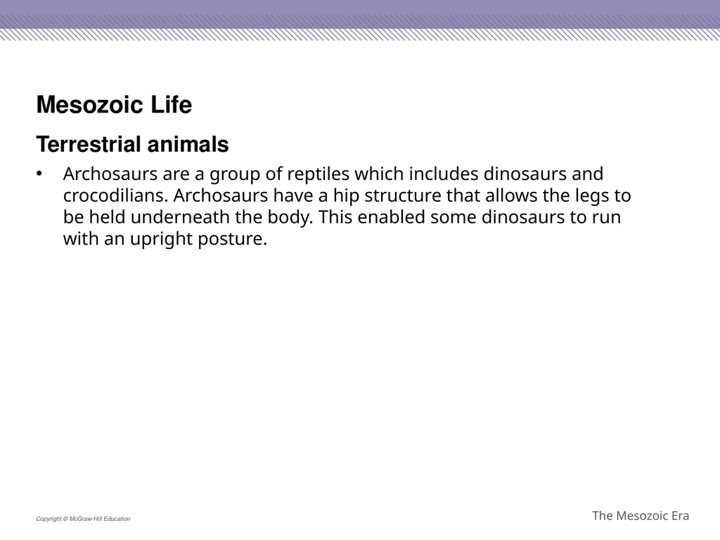 Reptiles became the dominant terrestrial animals - slide 24 of 29