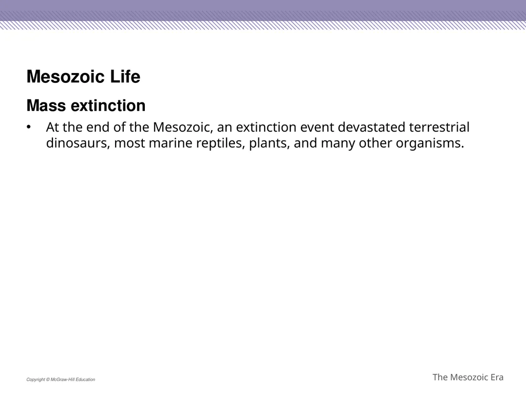 Reptiles became the dominant terrestrial animals - slide 25 of 29