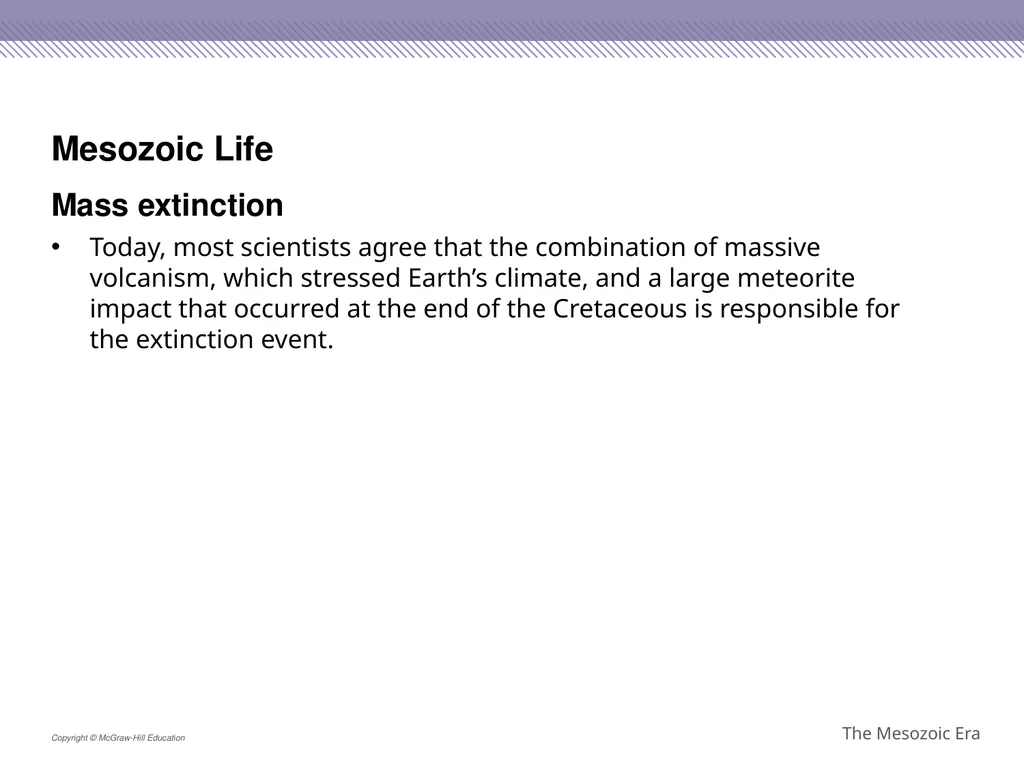 Reptiles became the dominant terrestrial animals - slide 26 of 29