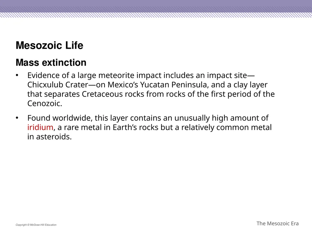 Reptiles became the dominant terrestrial animals - slide 27 of 29