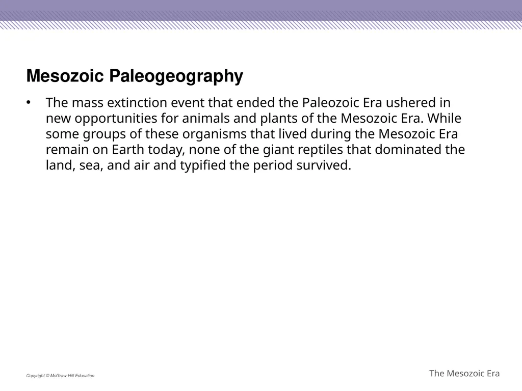 Reptiles became the dominant terrestrial animals - slide 4 of 29