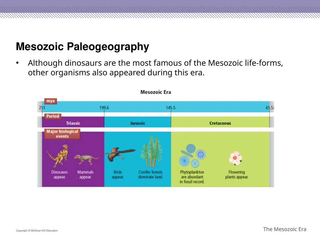 Reptiles became the dominant terrestrial animals - slide 5 of 29