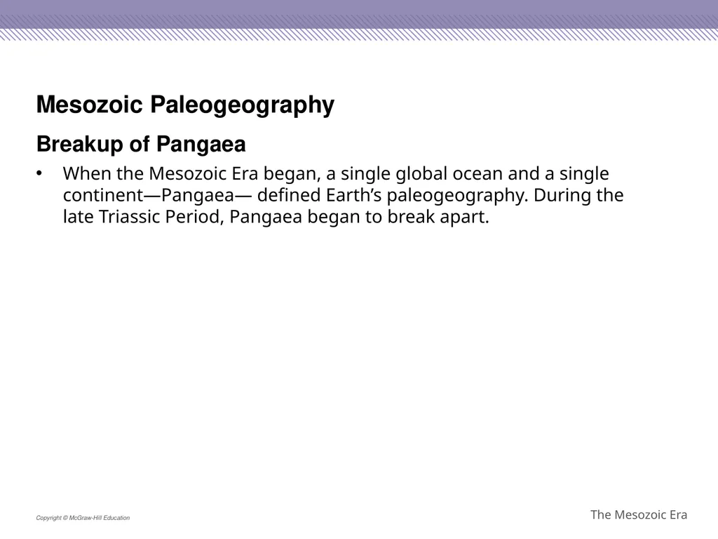 Reptiles became the dominant terrestrial animals - slide 6 of 29