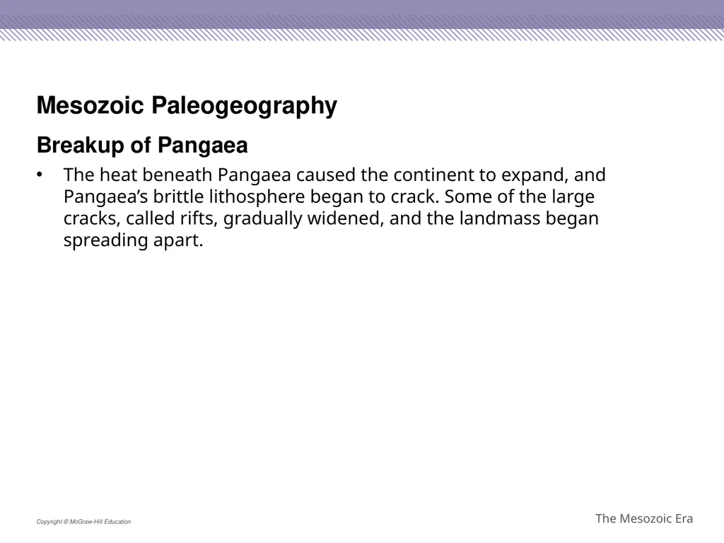 Reptiles became the dominant terrestrial animals - slide 7 of 29