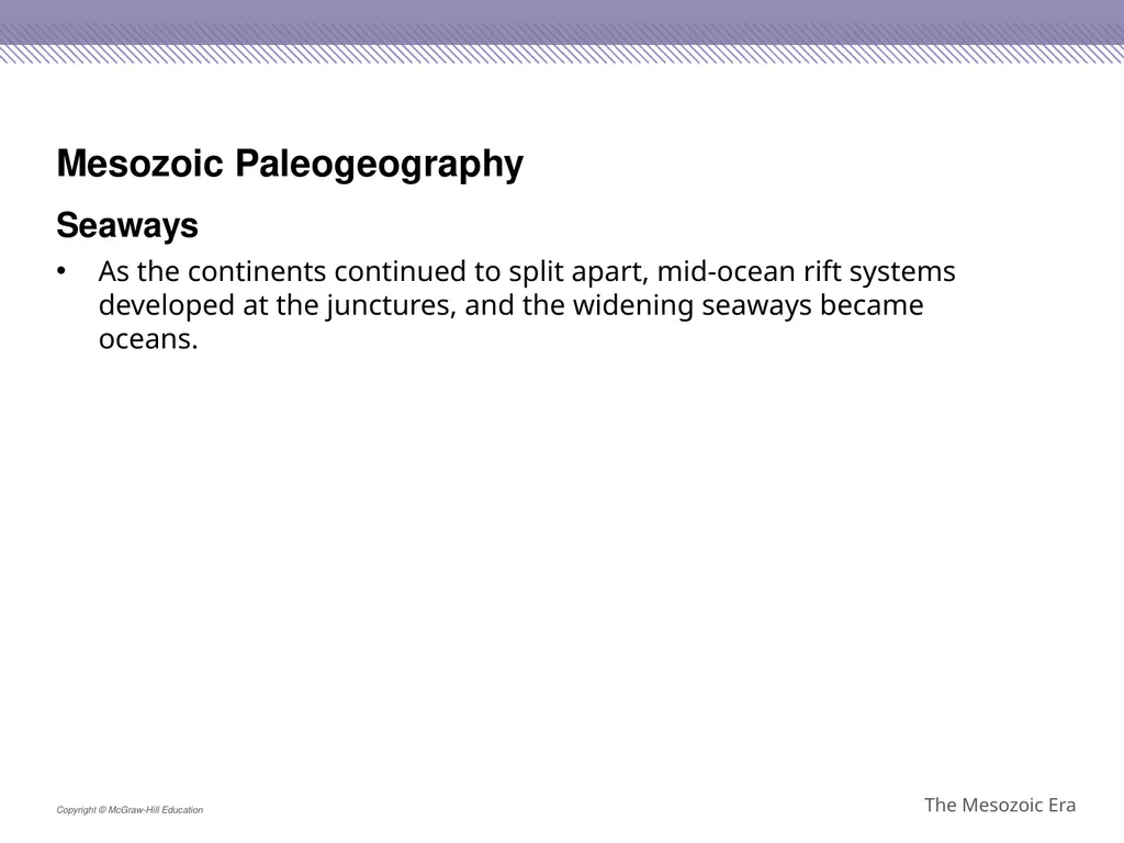 Reptiles became the dominant terrestrial animals - slide 8 of 29