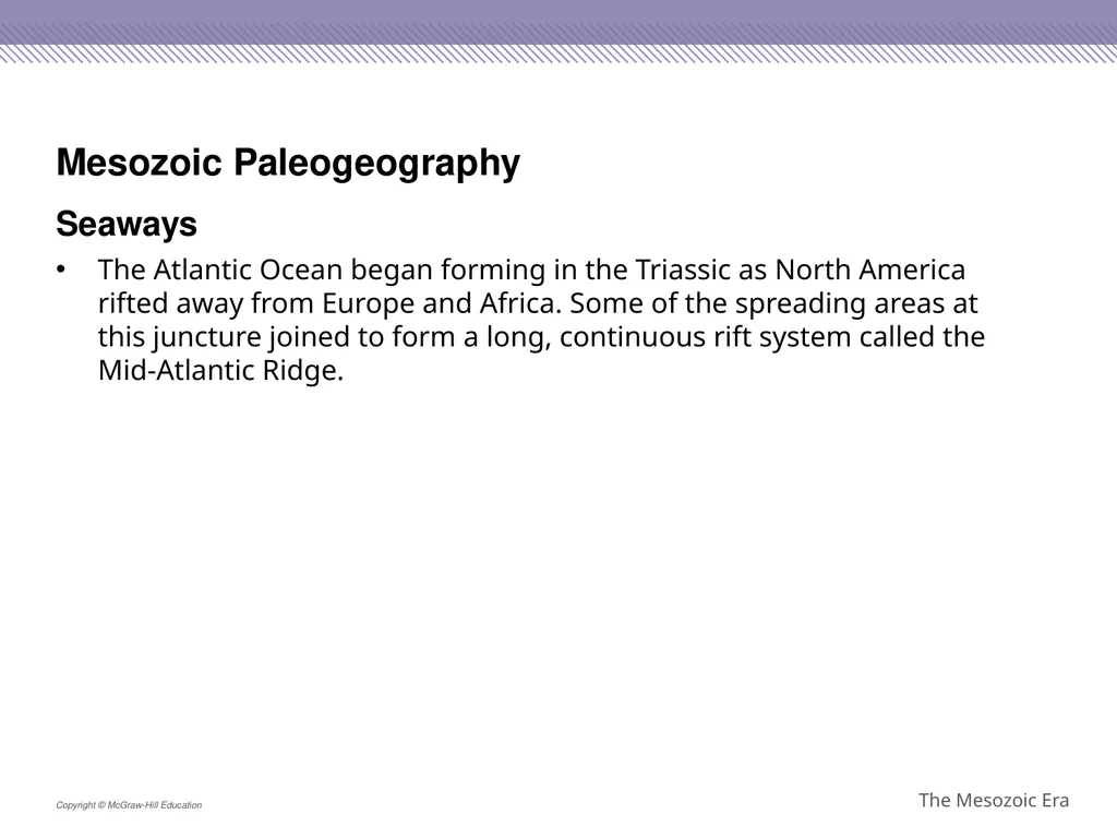 Reptiles became the dominant terrestrial animals - slide 9 of 29