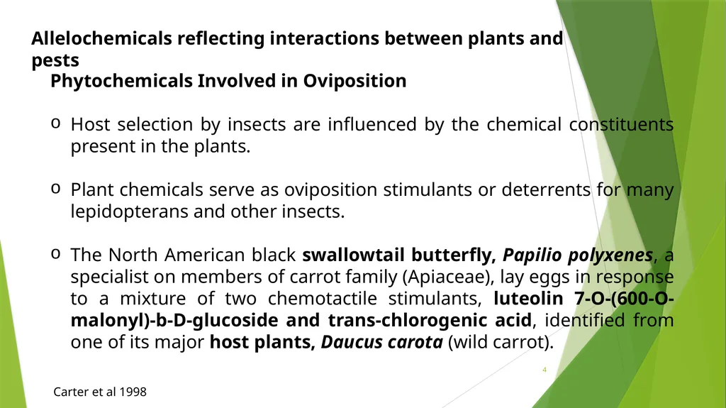 PLPT 609 Title: Inter-Relationships Between - slide 4 of 19